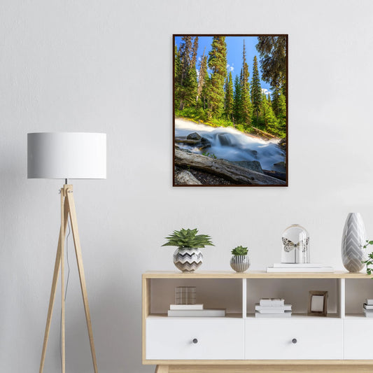 5ea53675-46c4-4ad0-967d-bd560017dd70