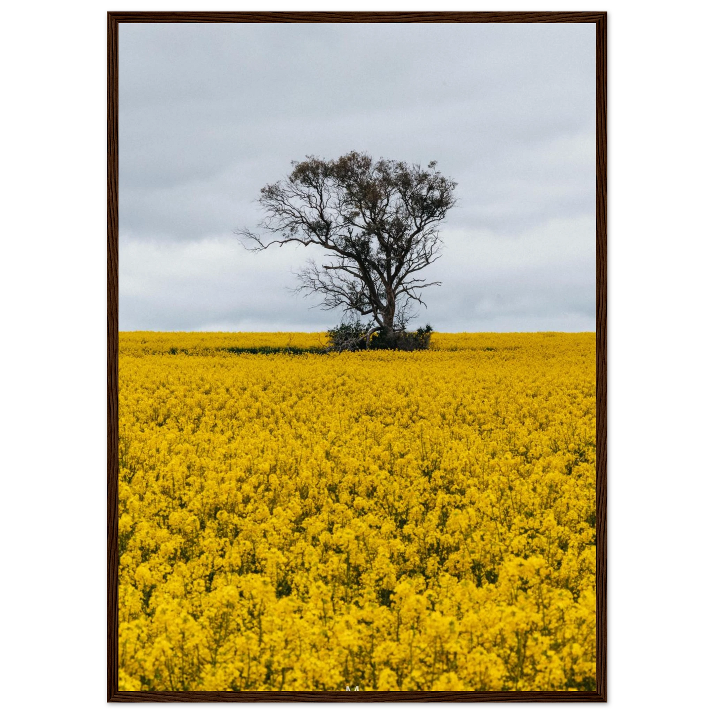 9f7323e9-bdea-4da9-895c-9e0e39bf2378