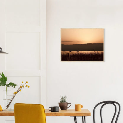 0e057556-fe6f-49c4-b87a-81d8b71f772b