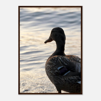 1492779a-69c6-451f-a69b-5dc54c26940b