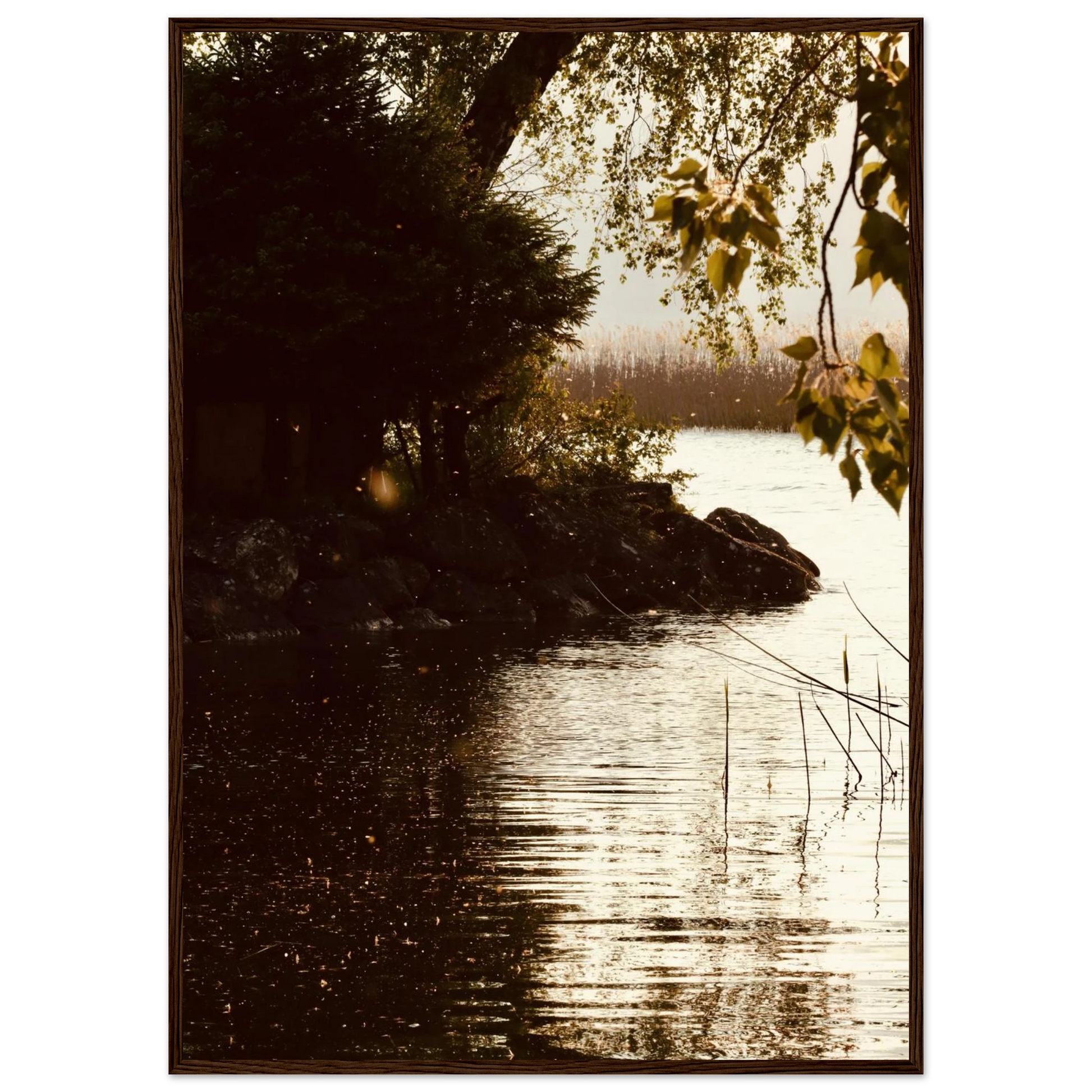 1d38ec82-f388-4c3b-8938-f0bbc2afb729