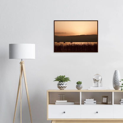 209cd456-db43-43ef-80db-d1ce795cfca2