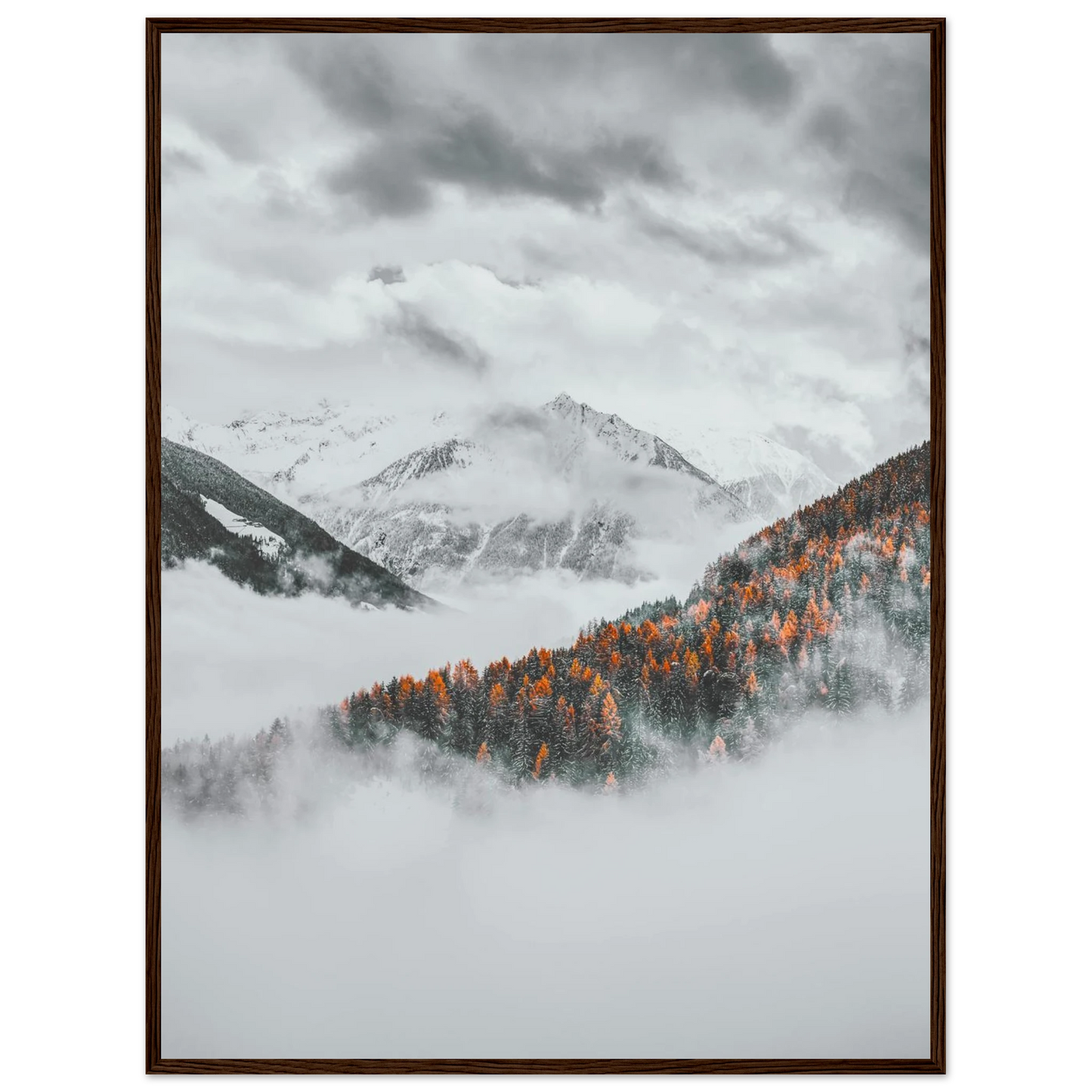 242ee9f7-6717-4203-9168-2df74c977a62