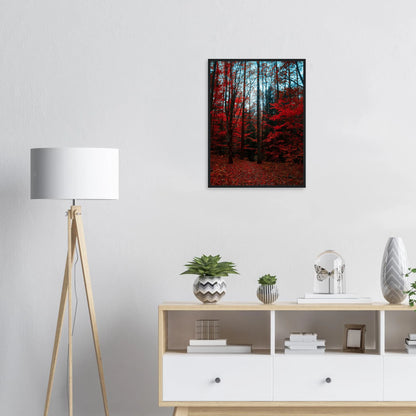 2d14d29f-c757-4221-b4a5-f5e5cd694598