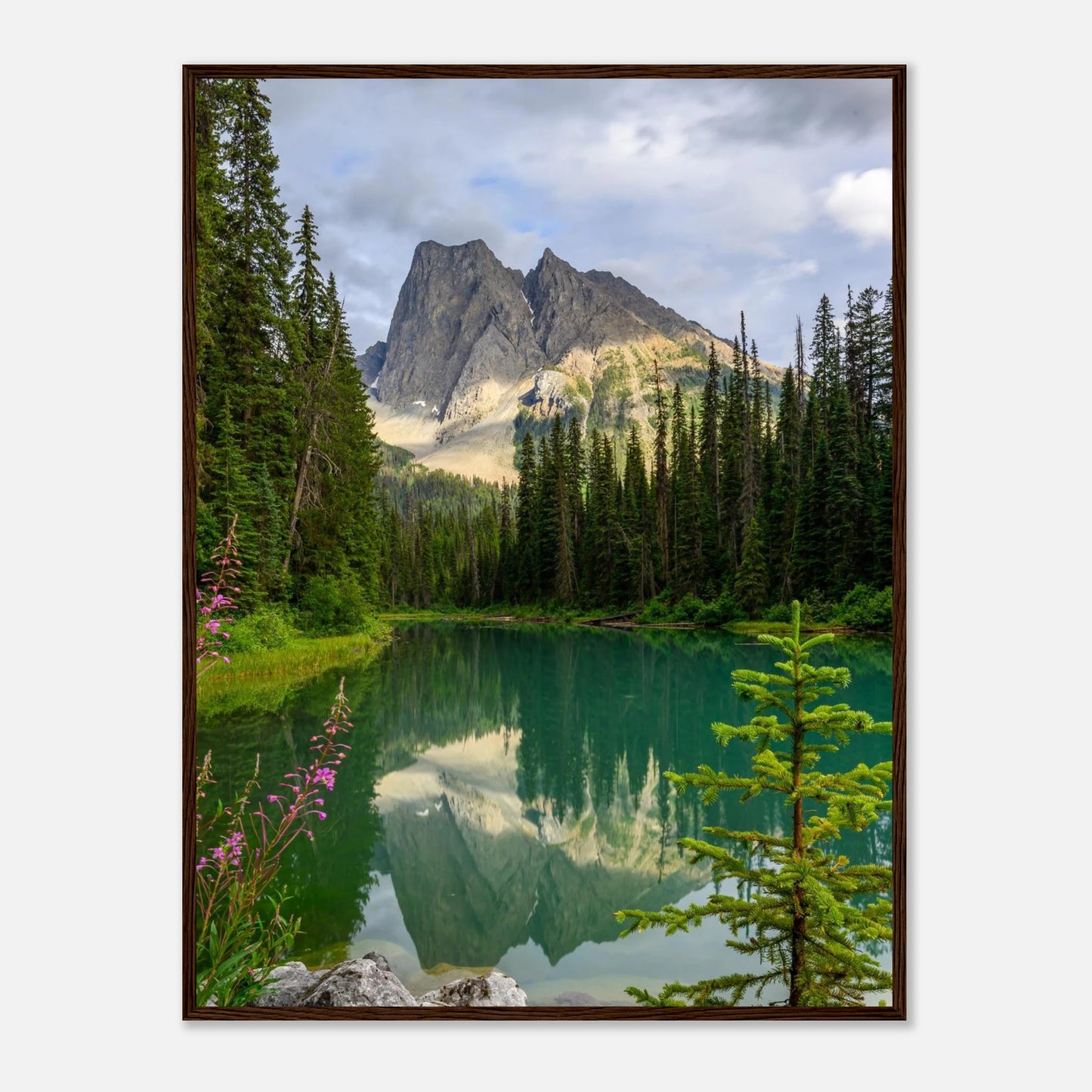 2ecc3006-638c-425c-bf13-3caedf685c3a