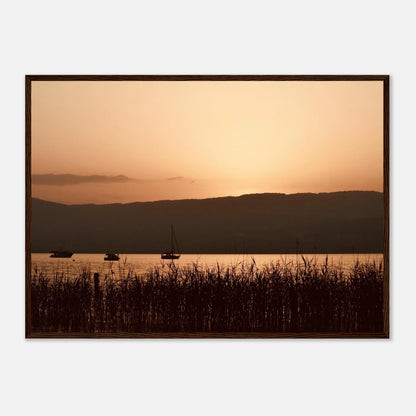 32e02c90-7ddf-4774-bbbe-461516ea8d5c