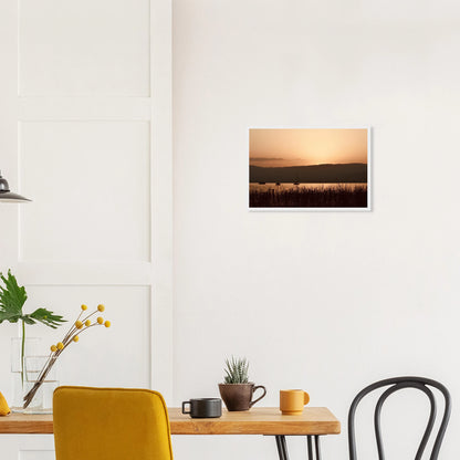 379ed7a3-d5a7-4ffd-8359-0ffc778068af