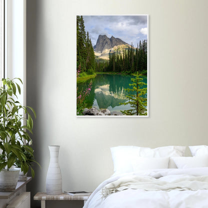 4971911c-d199-4d82-9aac-ad7fa1260a3d