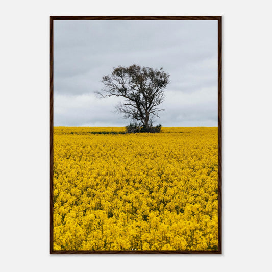 49d5494d-abb8-4d43-84dd-ef9b5aa8586b