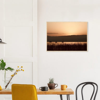 64d2ed36-4c73-4870-9355-00a1bd2035d3