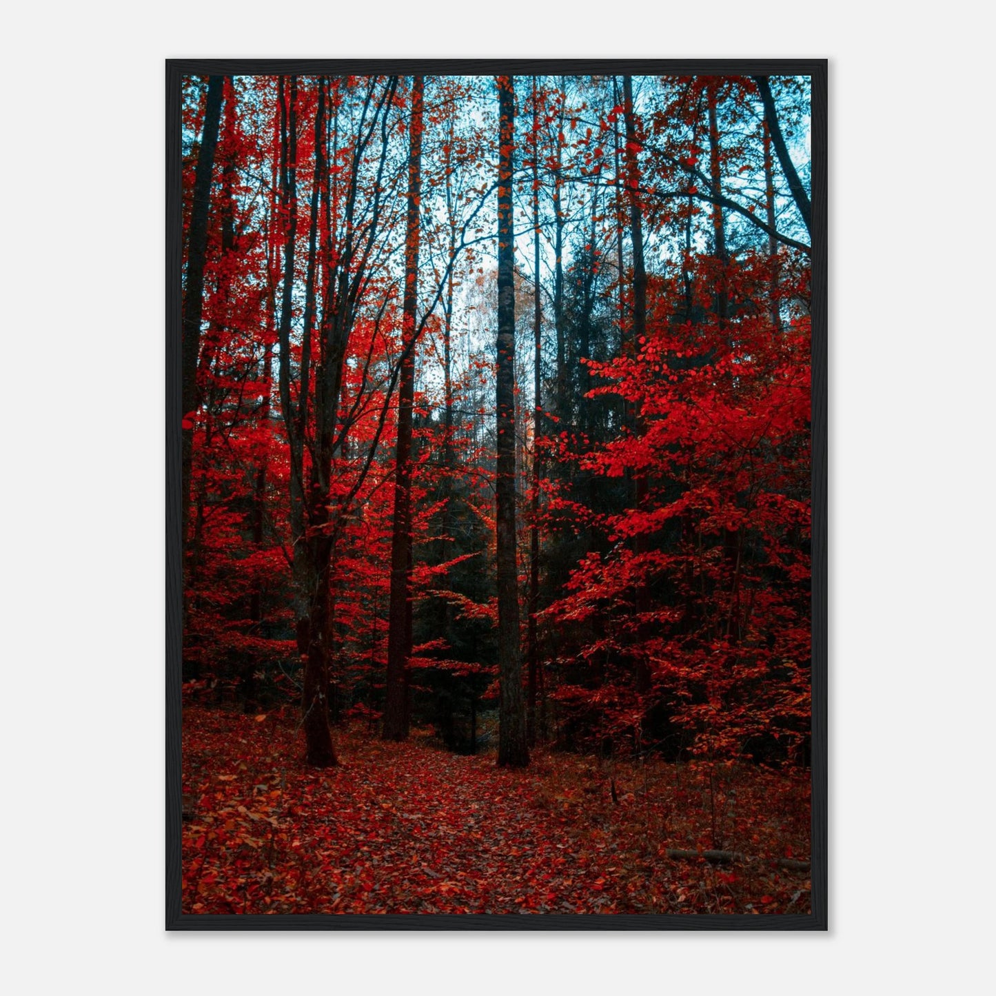 6ae9f030-ebbd-44f9-898c-d4c0dc547eeb