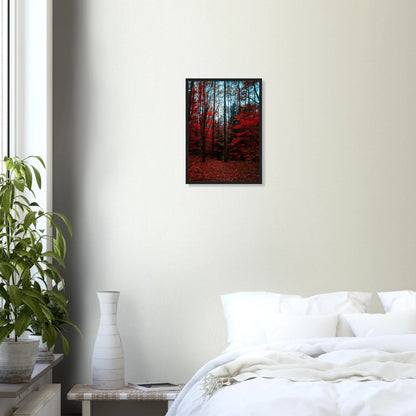 6dbf55cb-d4e0-414f-be48-ee09d063d7f3