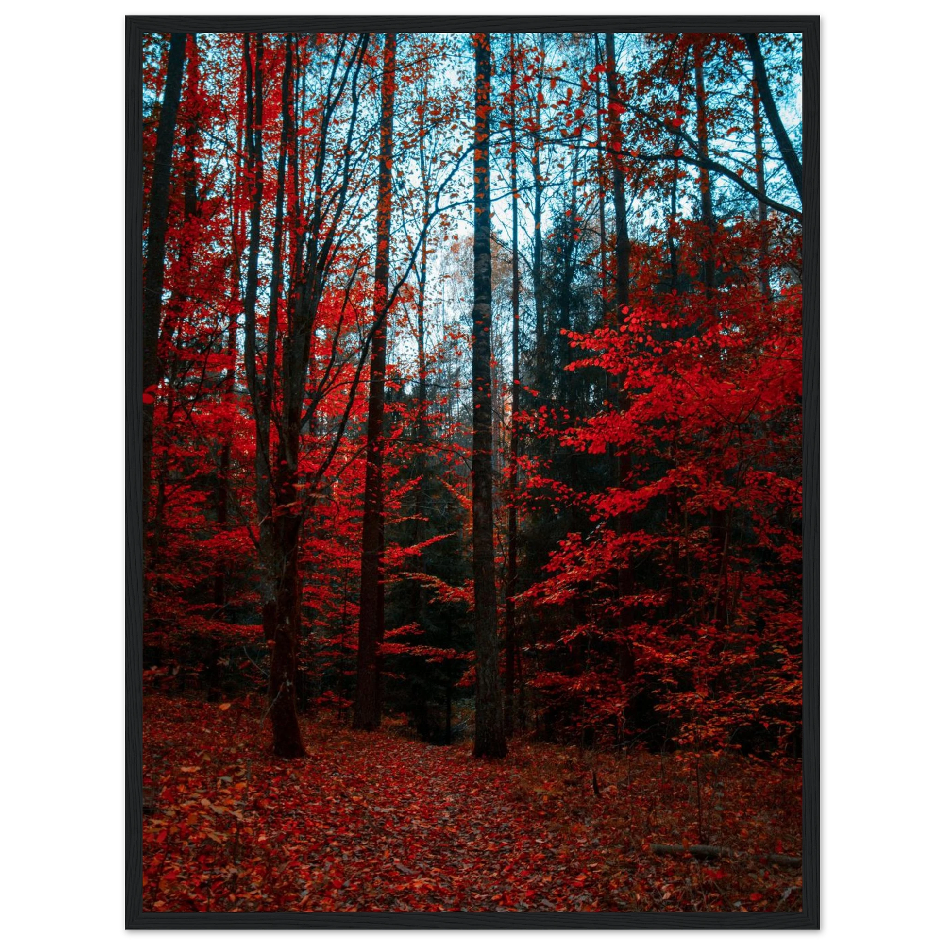 7085f57f-3fd1-4903-afba-6e9daf239df1