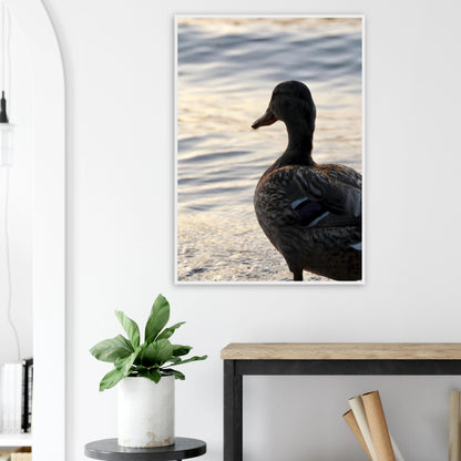 798417b1-02eb-48c7-8ee7-3adb7eab381c