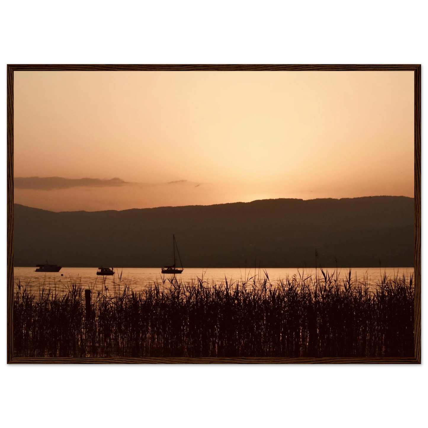 80edafae-9981-47ae-a756-5497c3e19e04