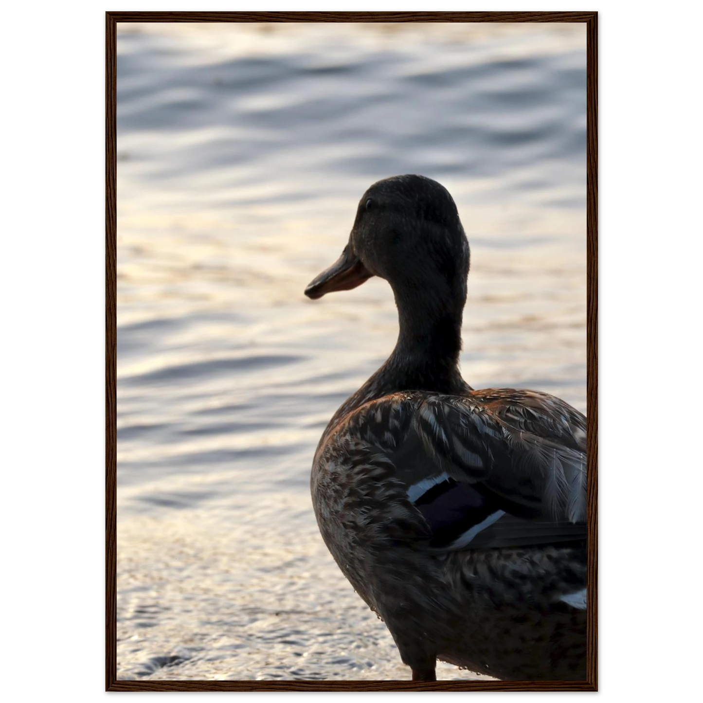 81643d8d-f829-40c5-9fba-fd0ba7617b52