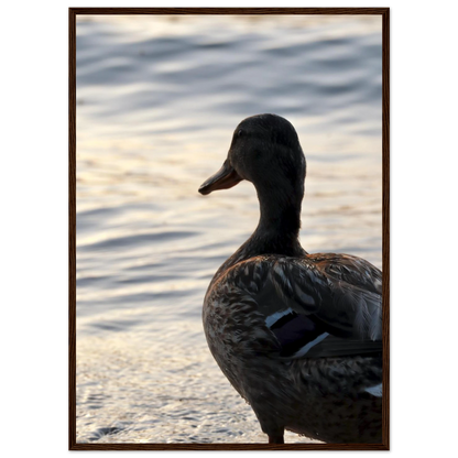 81643d8d-f829-40c5-9fba-fd0ba7617b52