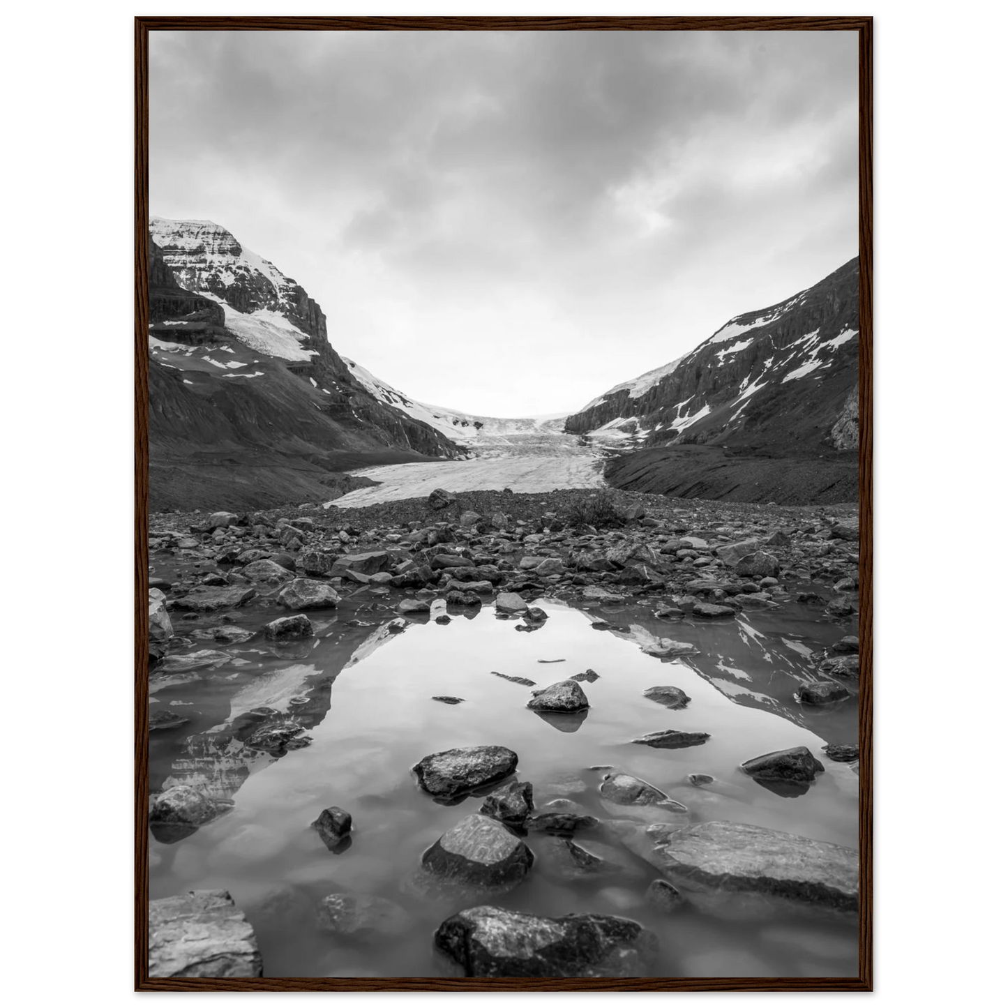 973fd88a-a8dc-4e63-9d0b-b3103dc641d3