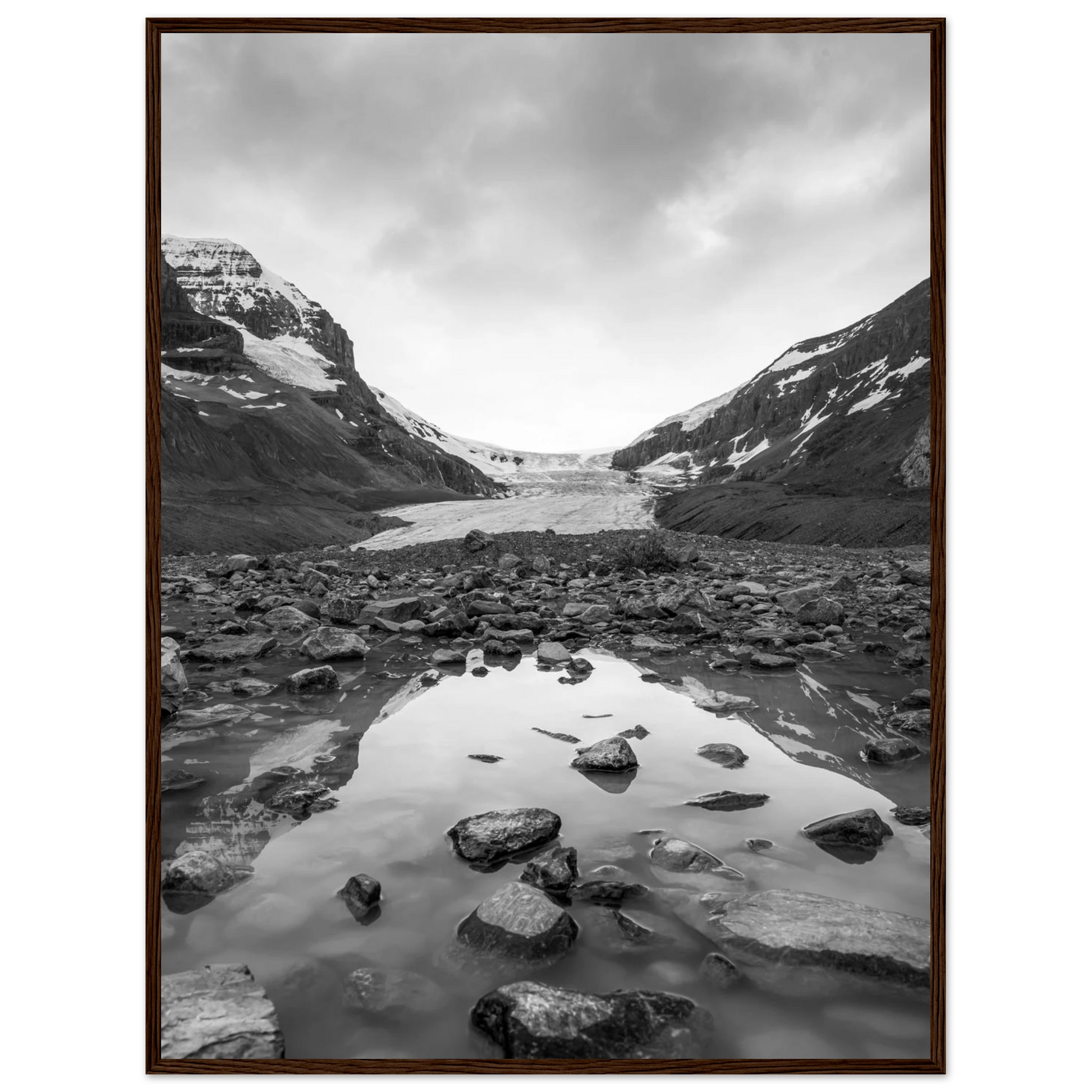 973fd88a-a8dc-4e63-9d0b-b3103dc641d3