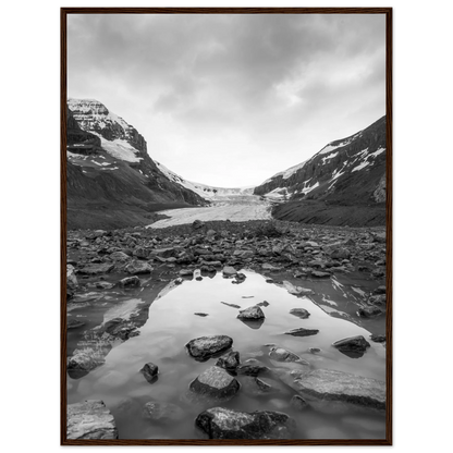 973fd88a-a8dc-4e63-9d0b-b3103dc641d3