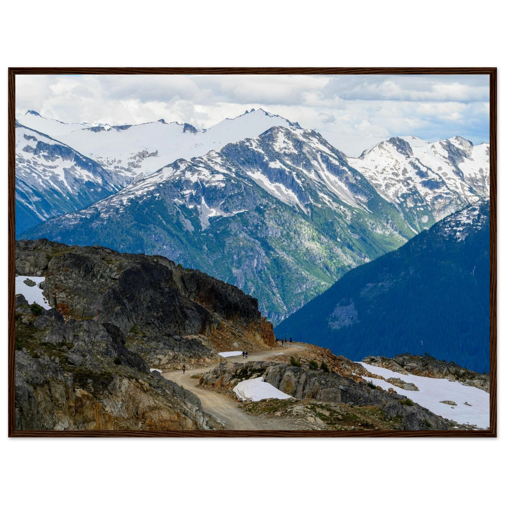 9d29117e-0294-4bdd-9b7a-a37492a5e23b