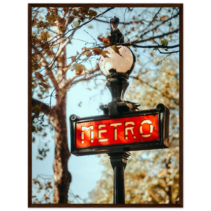 9e20c885-5ccb-4d4c-b5d2-9215cf6ca6ec