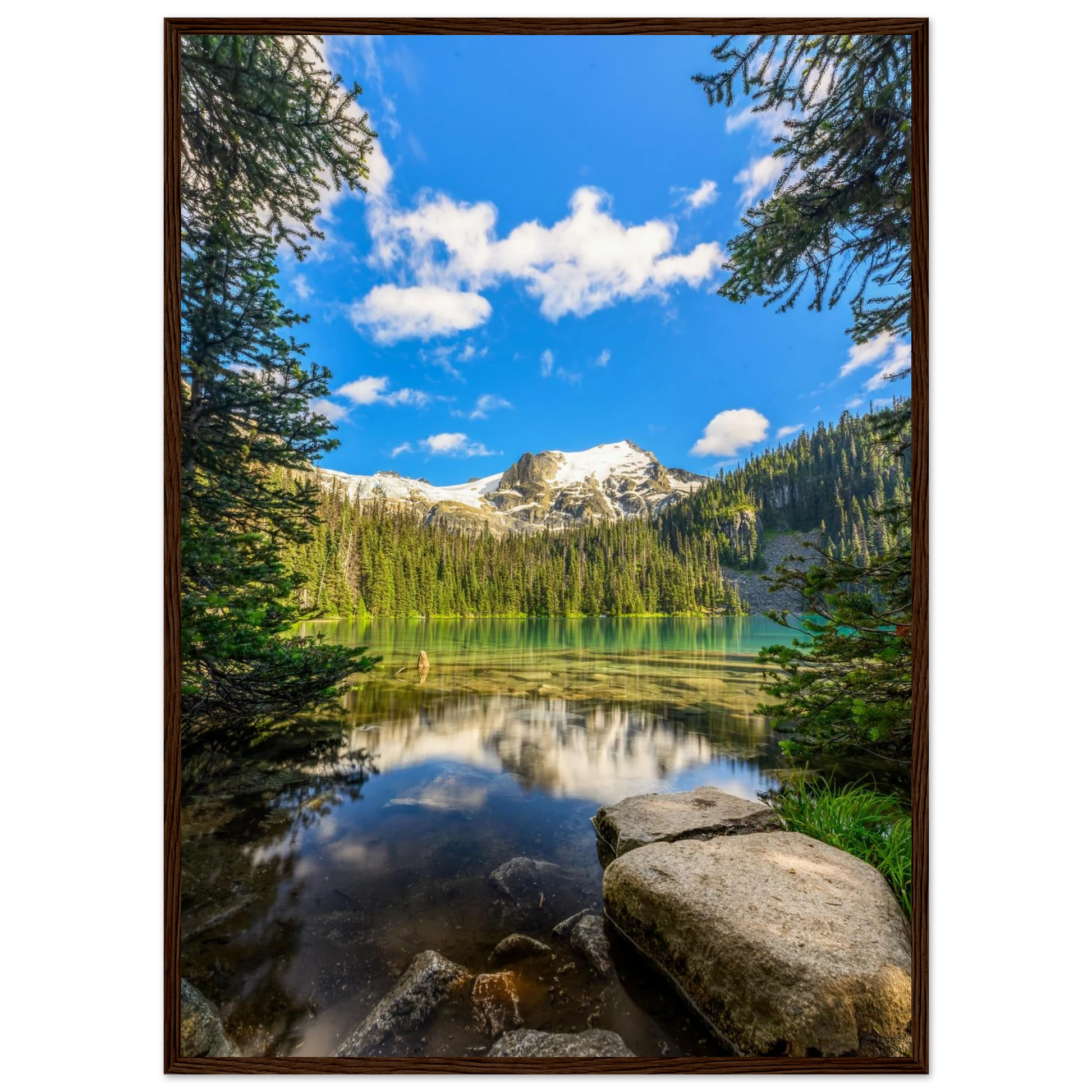 c0a2a655-ed18-445f-bede-50ad6227f644