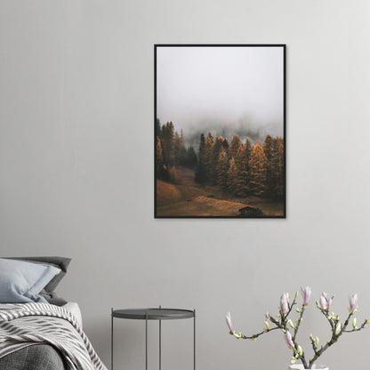 c6202d71-083e-4ad4-a994-125850625e71