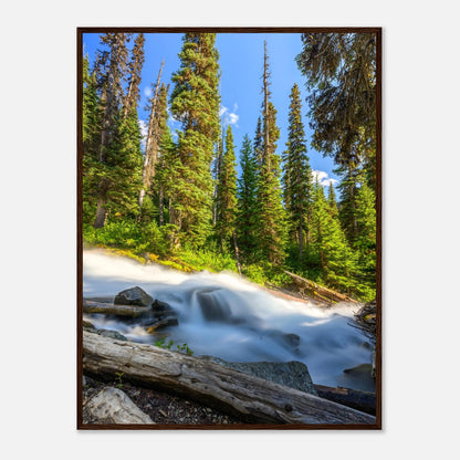 d2eeeccf-b1aa-412d-8dd2-e7e448a9545a