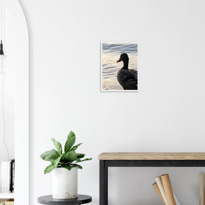 e2e6376d-a1a2-41a0-b19e-c34d598eba5b