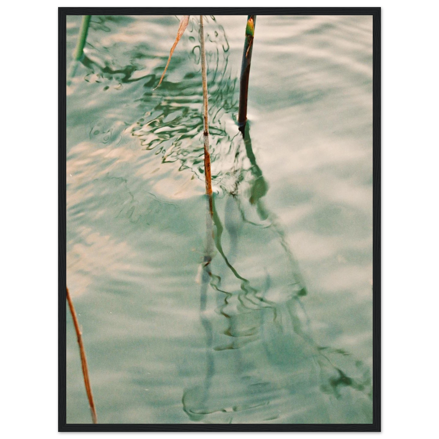 e9062f06-3573-4853-b566-eaad54fd9b58