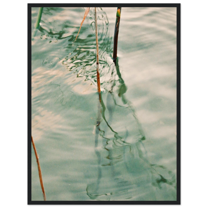 e9062f06-3573-4853-b566-eaad54fd9b58