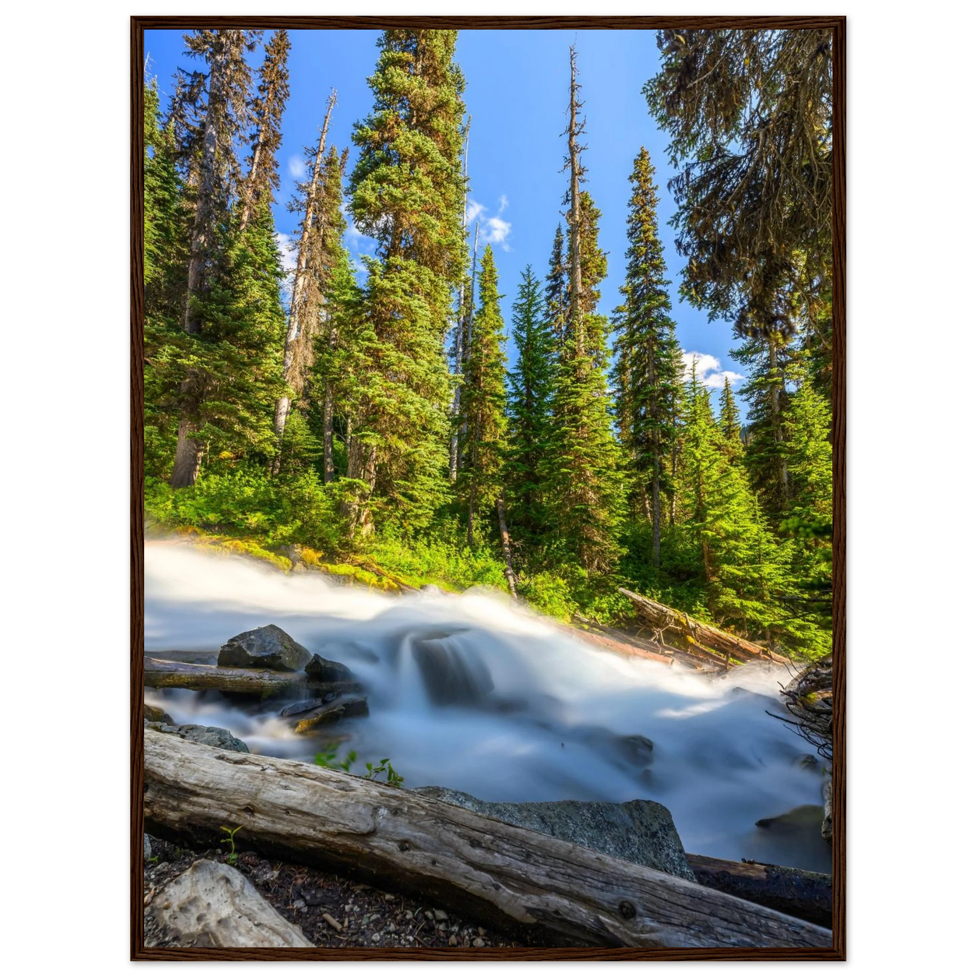 eeb1e124-990f-4a94-a25d-566accf186e3