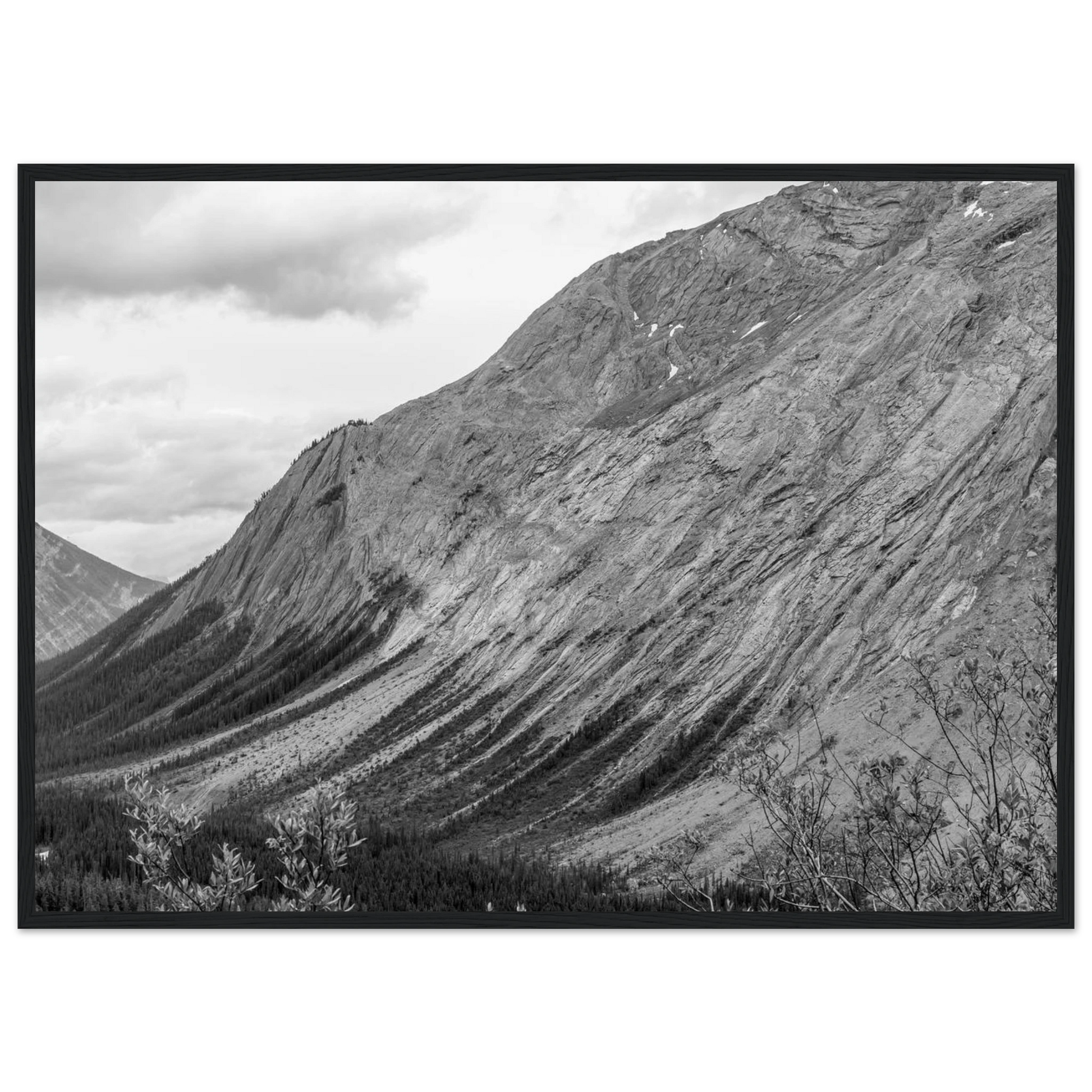 f5cc1d8a-835b-4256-9cd1-a65bdf1cd7e0